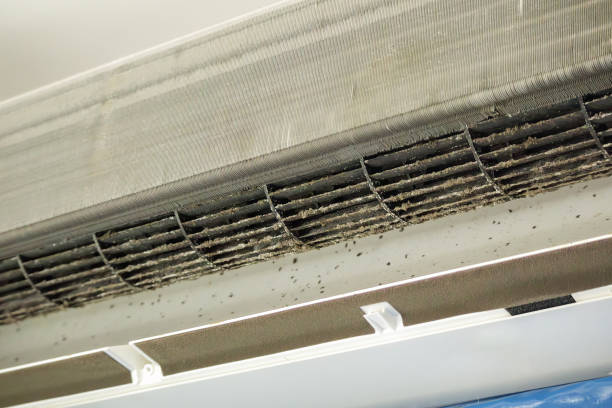 Best Ventilation Cleaning Services  in Boerne, TX